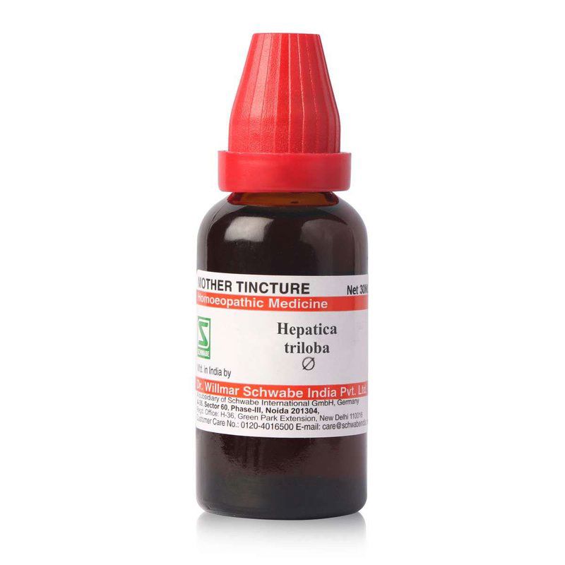 Schwabe Hepatica Triloba Mother Tincture Q
