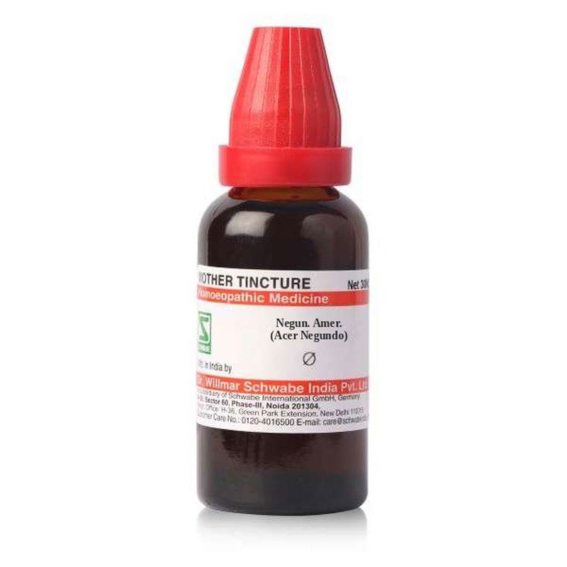 Schwabe Negun. Amer. (Acer Negundo) Mother Tincture Q