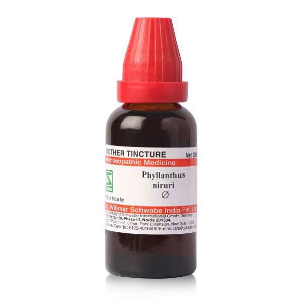 Schwabe Phyllanthus Niruri Mother Tincture Q