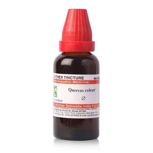 Schwabe Quercus Robur Mother Tincture Q