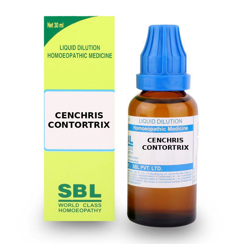 SBL Cenchris Contortrix CM Dilution
