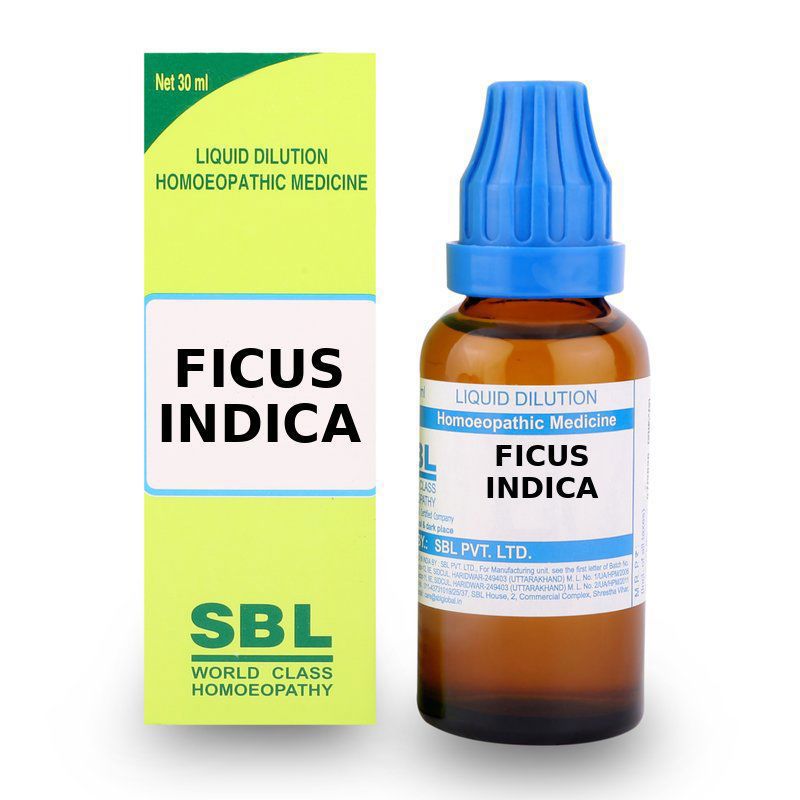 SBL Ficus Indica CM Dilution