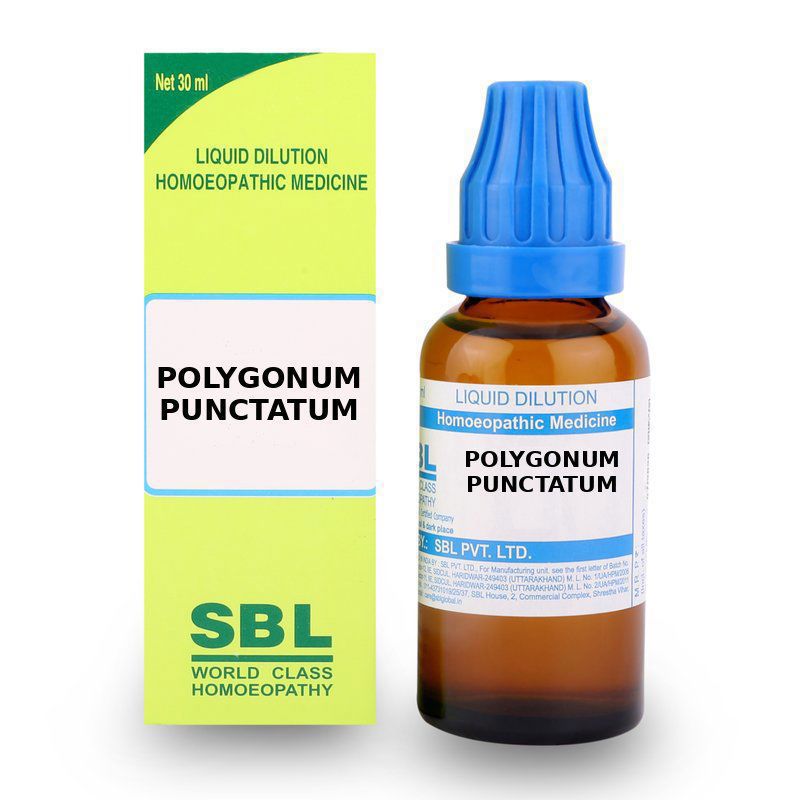 SBL Polygonum Punctatum 30CH Dilution