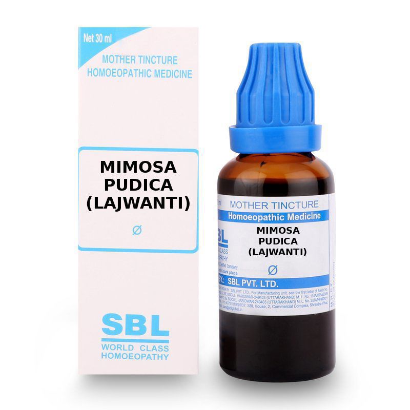 SBL Mimosa Pudica (Lajwanti) Mother Tincture Q