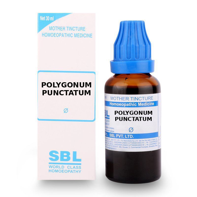 SBL Polygonum Punctatum Mother Tincture Q