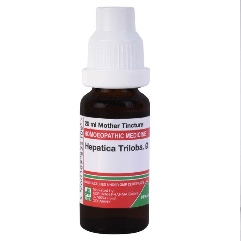 Adel Hepatica Triloba Mother Tincture Q