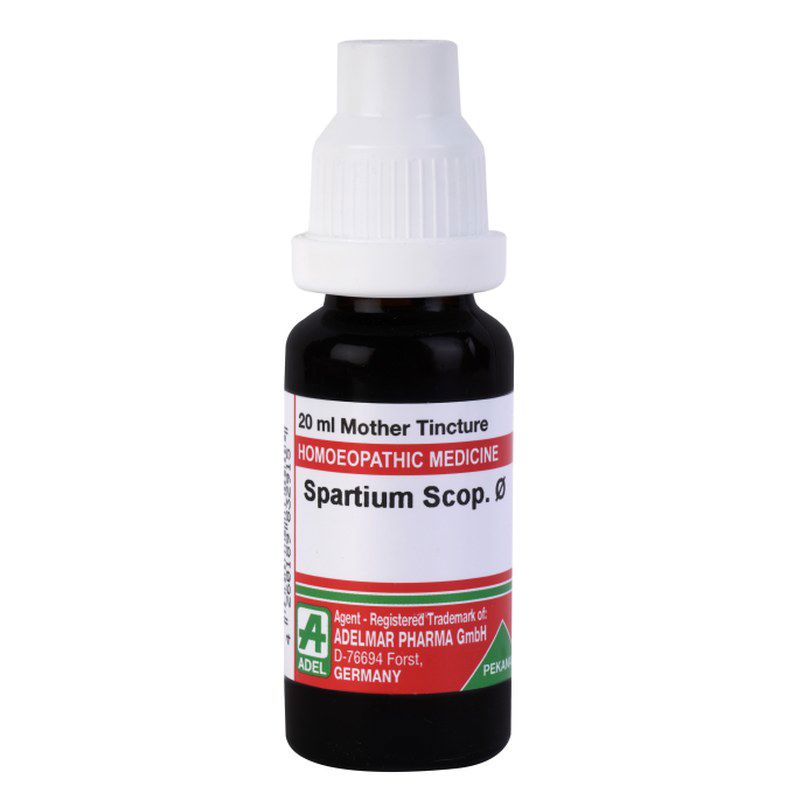Adel Spartium Scoparium Mother Tincture Q