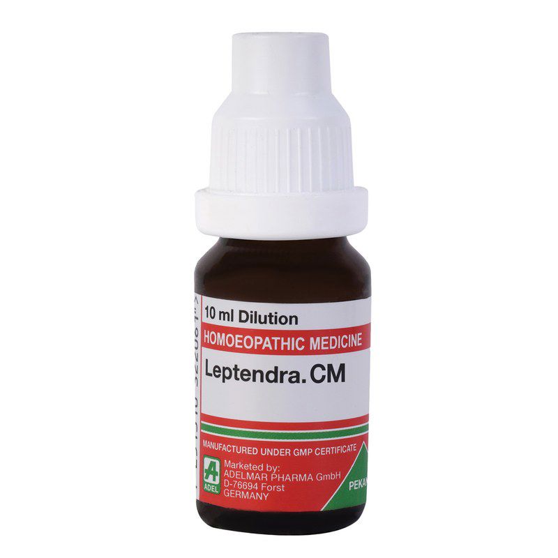 Adel Leptandra Virginica CM Dilution