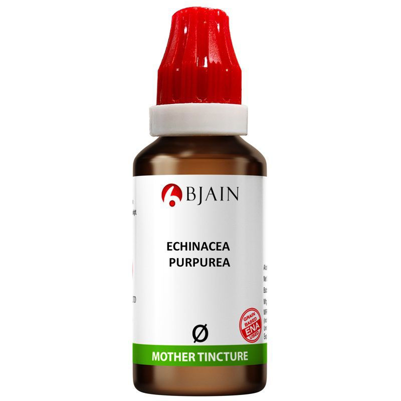 B Jain Echinacea Purpurea Mother Tincture Q