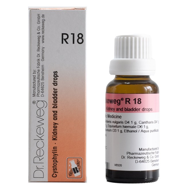 R18 KIDNEY AND BLADDER DROP