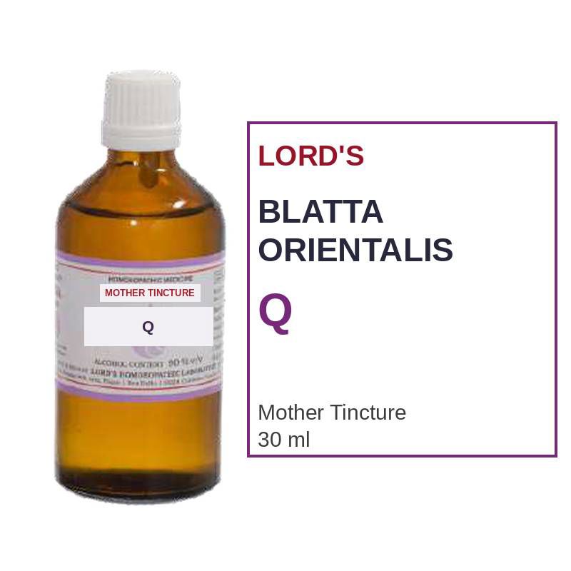 Lord's Blatta Orientalis Mother Tincture Q