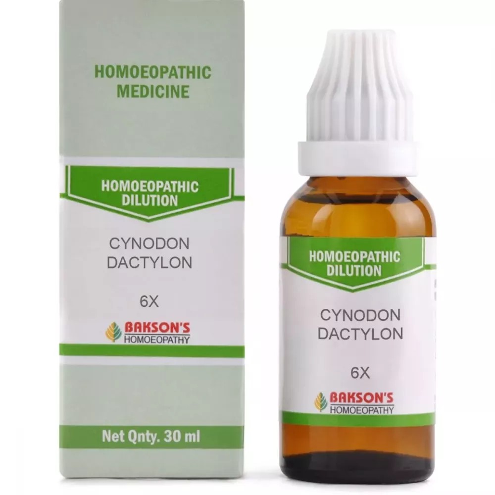 Cynodon Dactylon 6X