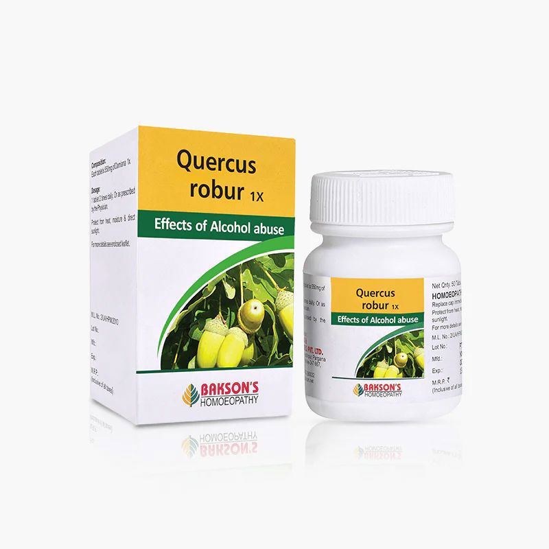 Quercus Robur 1X