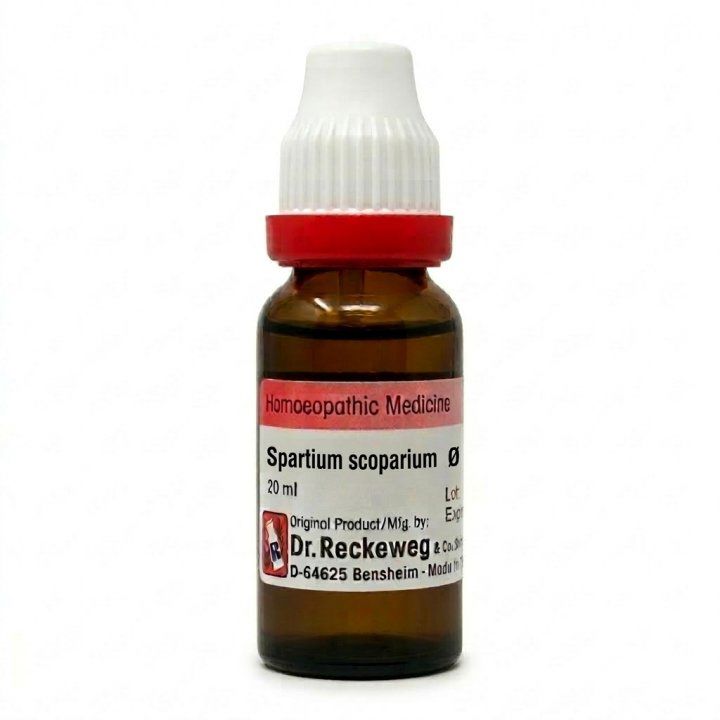 Dr. Reckeweg Spartium Scoparium Mother Tincture Q